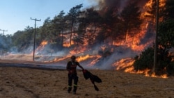 Szárazság és hőség: tűzvész pusztít Törökországban