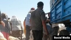 Правительство Узбекистана игнорирует призывы международных организаций об отказе от использования принудительного труда во время хлопковой кампании.