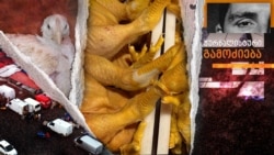 როგორ ღებავენ ქათმებს ყვითლად - ჟურნალისტური გამოძიება