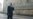 Cartoonist Arrested In Vienna Over Putin Poster