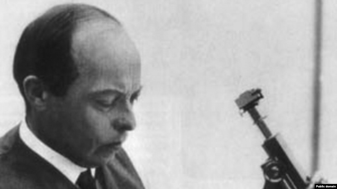 Владислав Старевич (1882—1965)