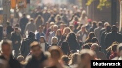 მოსახლეობის 2024 წლის აღწერის მონაცემებით, თბილისში ცხოვრობს ქვეყნის მოსახლეობის 34%