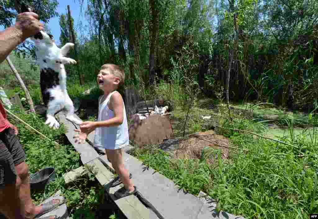 A boy cries as his father holds a rabbit destined to become dinner.