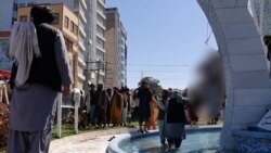 Taliban Hangs Bodies In Herat As 'Lesson' To Others