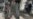 Afghan Suicide Attack Kills 5