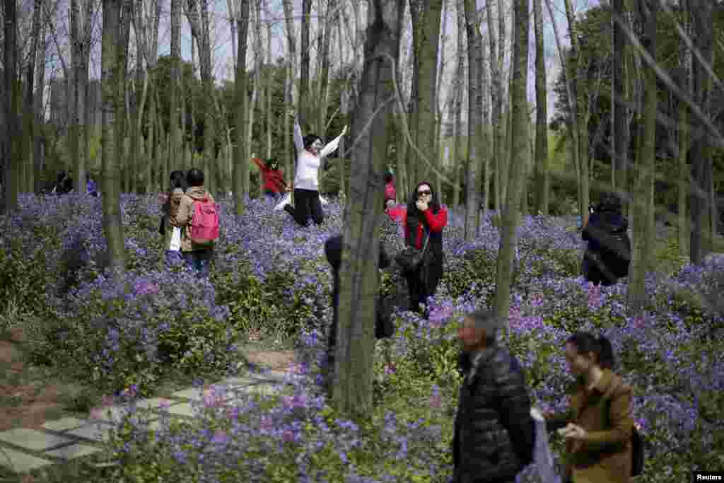 People visit a park with blooming flowers during spring in Shanghai, China. (Reuters/Aly Song)