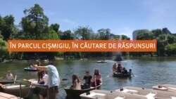 VIDEO „Dacă tot a existat acel 10 august, bineînțeles că am votat”