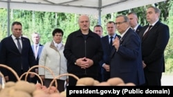 Лукашэнка наведвае гаспадарку Ўладзімера Маліноўскага ў Шклоўскім раёне. 18 верасьгя 2026