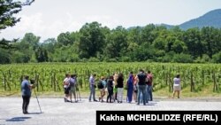 უკრაინელი ჟურნალისტების ვიზიტი "ყვარლის ედემის" ვენახებში