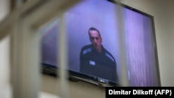 Navaljni se sudu obratio iz zatvora putem video veze