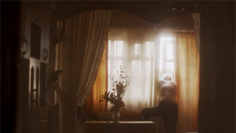 “ქართლის ცხოვრება” ამსტერდამის საერთაშორისო კინოფესტივალის ერთ-ერთი გამარჯვებულია