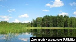 Возера Смердзін. Лельчыцкі раён. Аўтар Дзьмітры Некрашэвіч