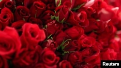 Արխիվային լուսանկար