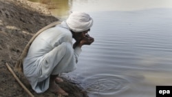 A man drinks contaminated water from a stream in the Cholistan Desert, near Bahawalpur, Pakistan.