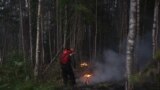 Forest fires in Karelia