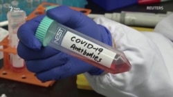 Чи може переливання плазми стати швидким шляхом для імунітету від COVID-19? (відео)