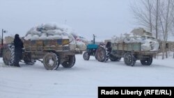 په پکتیا کې نیول شوي نشه يي توکي