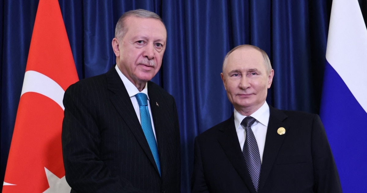 Putin and Erdogan discussed the Ukrainian settlement issue