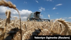 Producția agricolă a României la cereale a crescut de patru ori de la aderarea la UE (2007) și până în prezent.