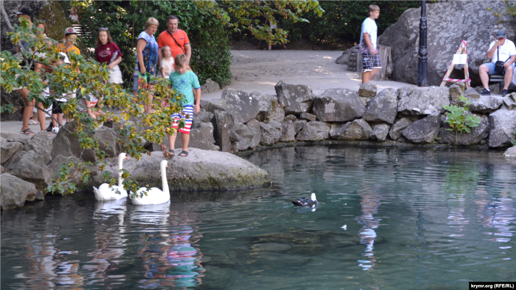 Лебединым это озеро называют из-за его обитателей, которые привлекают к себе внимание многочисленных туристов