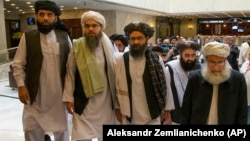 آرشیف، اعضای دفتر سیاسی طالبان در قطر