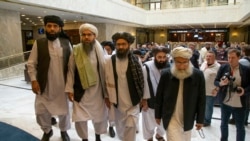 آرشیف، اعضای دفتر سیاسی طالبان در قطر