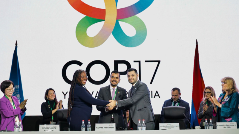 Երևանում մեկնարկել է COP17-ը․ ինչ է քննարկվելու