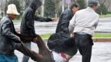 Kyrgyzstan -- Opposition supporters carry a man killed near the main government building during an anti-government protest in Bishkek, 07Apr2010