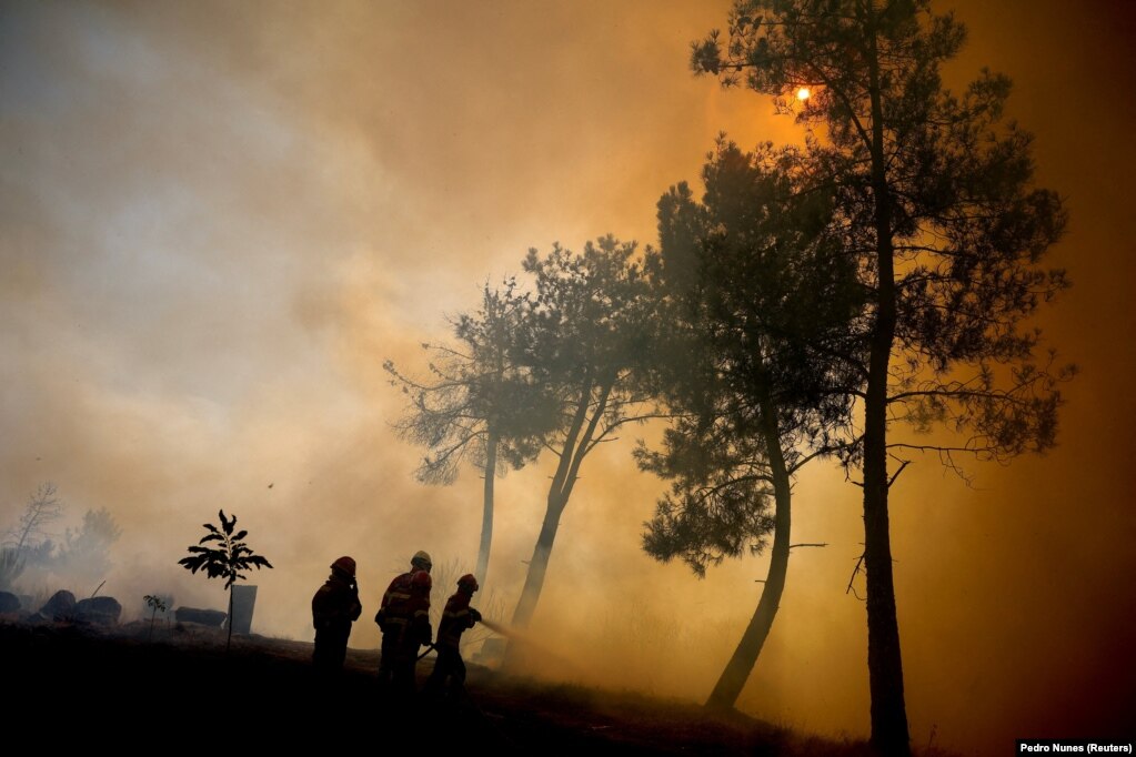 Zjarrfikës duke luftuar me flakët në Trankoso të Portugalisë, më 11 gusht.