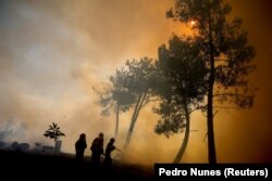 Zjarret e egra në Portugali më 2025.