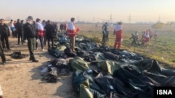 Body bags after Ukrainian plane crash outside Tehran-- 8 Jan 2020 