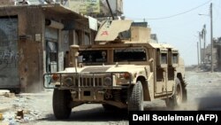 Miliții SDF la Raqqa