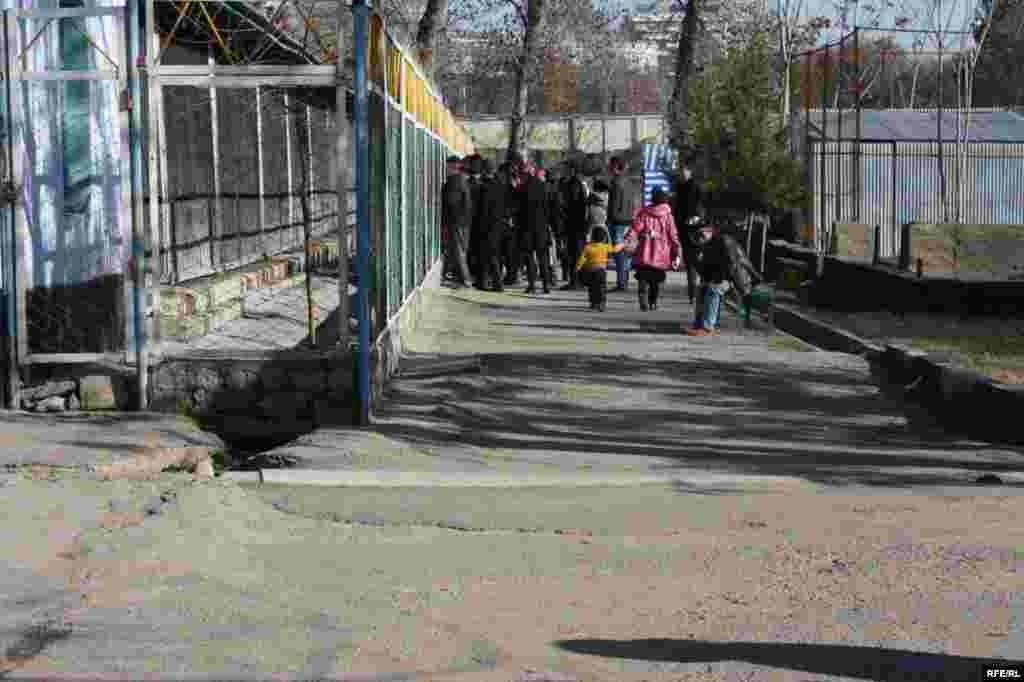 “Ошиқон”-и ҳайвонот #36