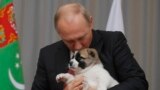 Владимир Путин целует щенка алабая, подаренного ему президентом Туркмении
