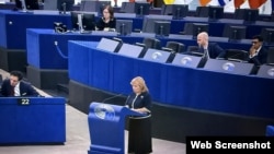 დებატები ევროპარლამენტში - "ელენე ხოშტარიას საქმე და პოლიტპატიმრები „ქართული ოცნების“ რეჟიმის პირობებში". სტრასბურგი. 11 მარტი, 2026. 