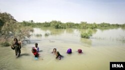 تصویر آرشیوی از تالاب هامون