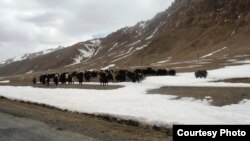 Ноҳияи Мурғоб яке аз қаламравҳои баландкӯҳи Тоҷикистон ба шумор меравад