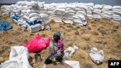 A woman collects grains left on the ground after a food distribution drop last week in South Sudan, which has been declared the site of the world's first famine in six years, affecting about 100,000 people. 