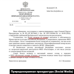 Ответ природоохранной прокуратуры по вопросу отправки белых медведей. Скан из соцсетей.