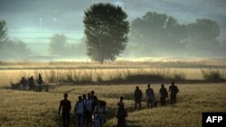 Migrantët duke ecur përmes një fushe në Idomeni, në afërsi të kufirit mes Greqisë dhe Maqedonisë së Veriut. Fotografi nga arkivi. 