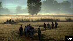 Migrantët ecin përgjatë një fushe që gjendet në kufirin Greqi-Maqedoni. Foto nga arkivi