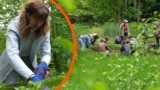«Частина Донбасу у Львові»: переселенка підтримала екопростір у Львові замість відбудови власних теплиць (відео)