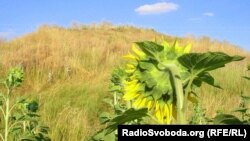 Вчені називають кургани ровесниками єгипетських пірамід