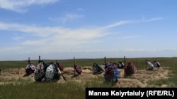 Коронавирустан қайтыс болғандар жерленген зират. Алматы облысы Қараой ауылы, 25 мамыр 2020 жыл.