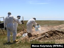 Мамандар қабірге хлор төгіп жатыр. Алматы облысы, Қараой ауылы маңы. 25 мамыр 2020 жыл.