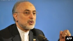 Iranian Foreign Minister Ali Akbar Salehi (file photo)