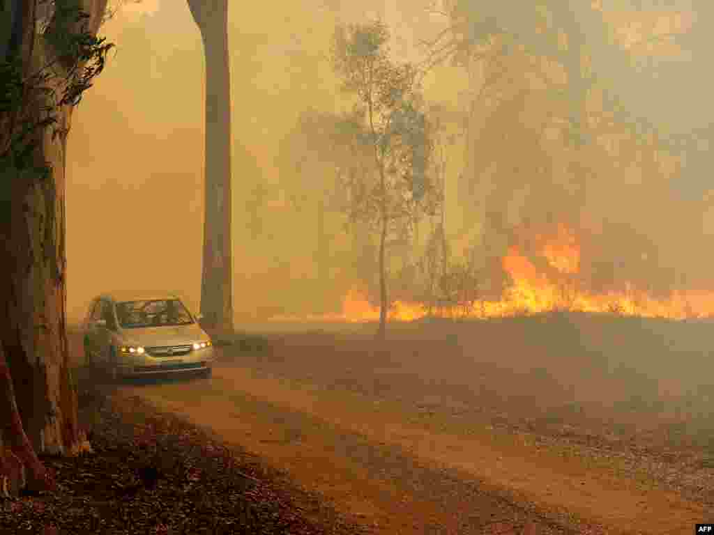 Усходнюю АЎстралію ахапілі лясныя пажары