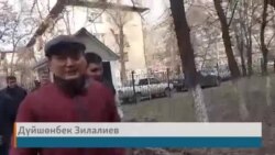 Зилалиев сотко алып келинди