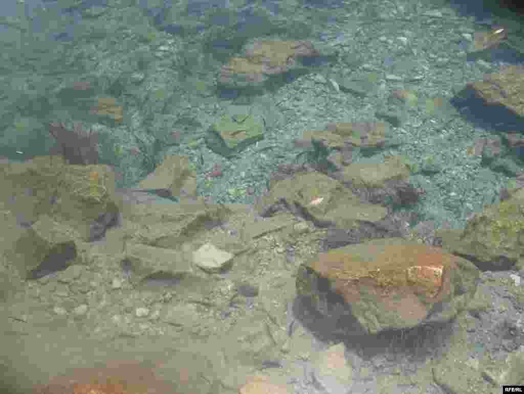 Зиёрати Чилучорчашма #54