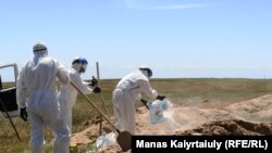 Коронавирустан қайтыс болғандарды жерлеуге арналған зират. Қараой ауылының маңы, Алматы облысы, 25 мамыр 2020 жыл. Азаттық зерттеуі зиратта ресми деректегіден көп адам жерленгенін көрсетті.